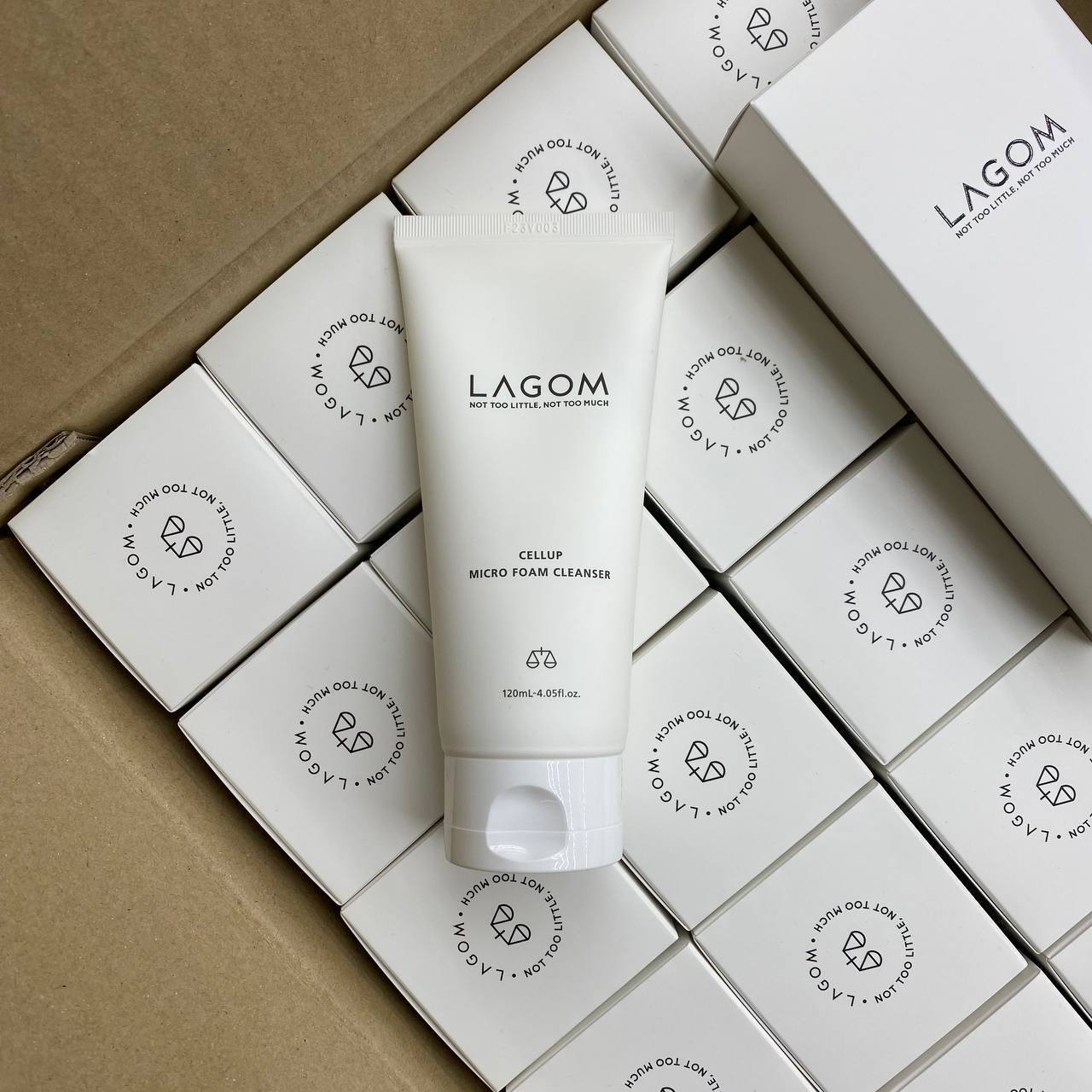 Деликатная пенка для умывания Lagom Cellup Micro Foam Cleanser